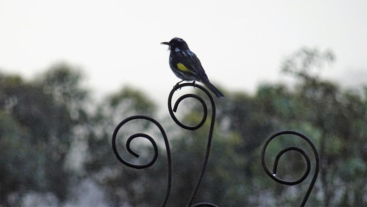 Austiny Bed And Breakfast Victor Harbor Εξωτερικό φωτογραφία