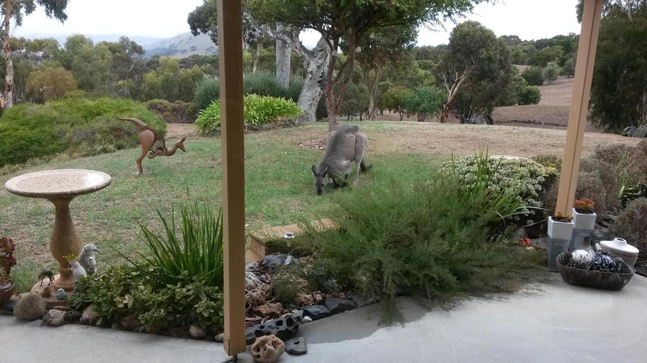 Austiny Bed And Breakfast Victor Harbor Εξωτερικό φωτογραφία